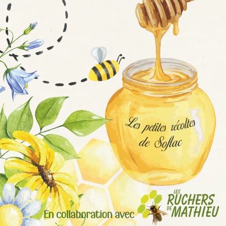 Nouvelle saison pour les abeilles de Soflac !